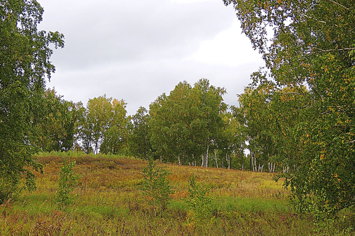 Краски осени - Владимир Кириченко