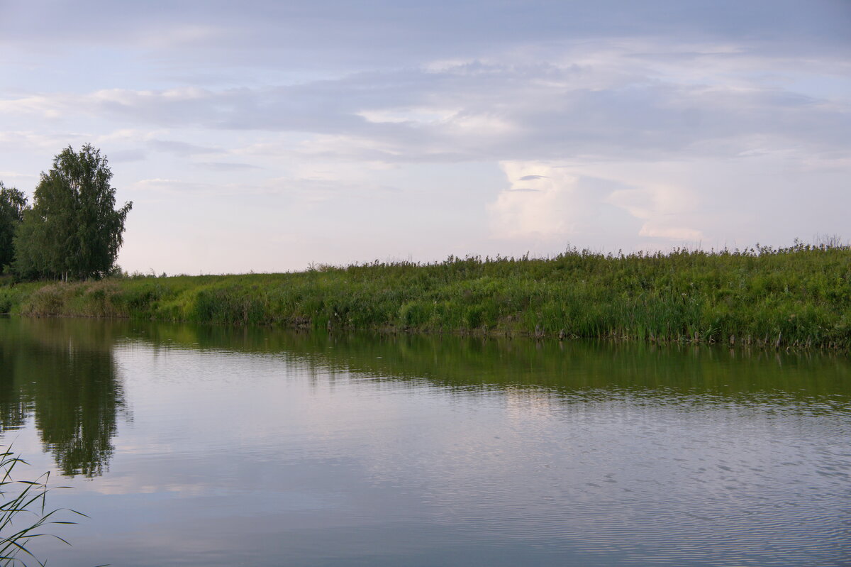 Вечер. - сергей ермошкин