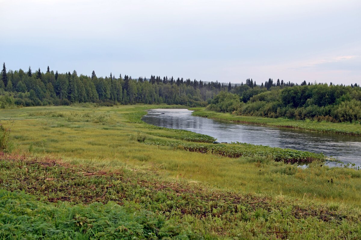 Протока в Орловке. - ВикТор Быстров