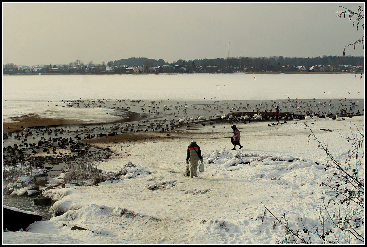не оскудеет рука дающего ! - Aleksandr Gal
