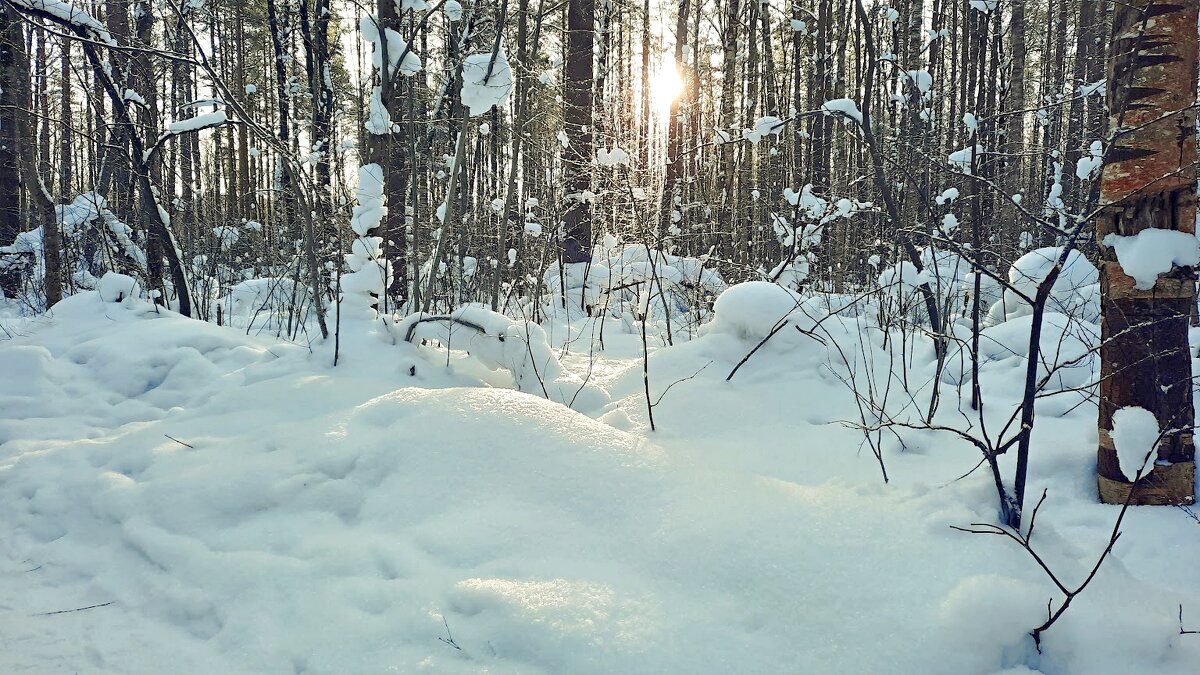 *** - веселов михаил 
