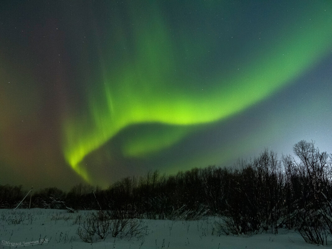 Полярное сияние в виде яркой извивающейся зеленой змейки, движущейся по вечернему небосводу - Николай Зиновьев