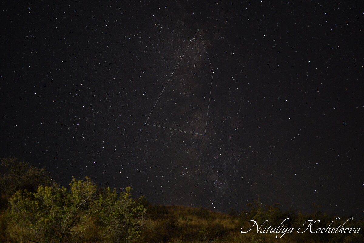 Природа Крыма - Amazing Cosmea