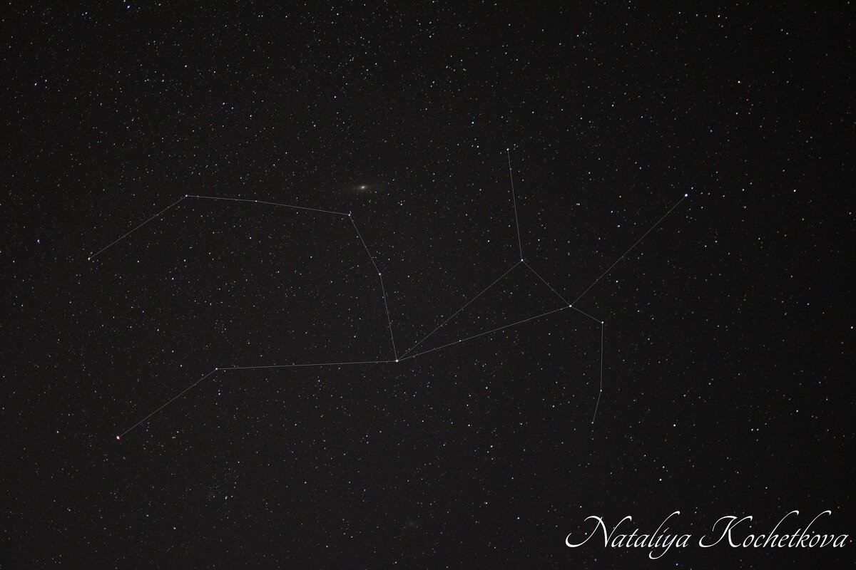 Природа Крыма - Amazing Cosmea