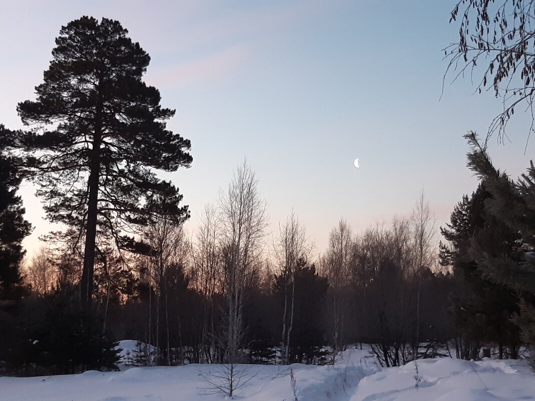 Лунные истории - Галина Минчук