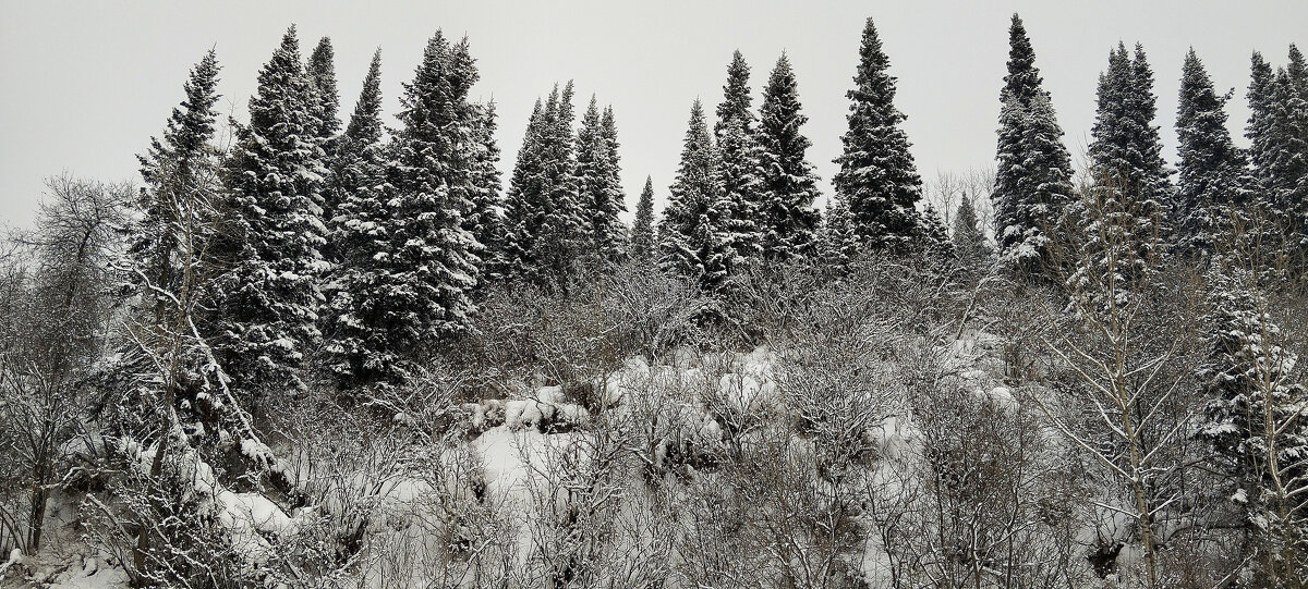 Зима - Радмир Арсеньев