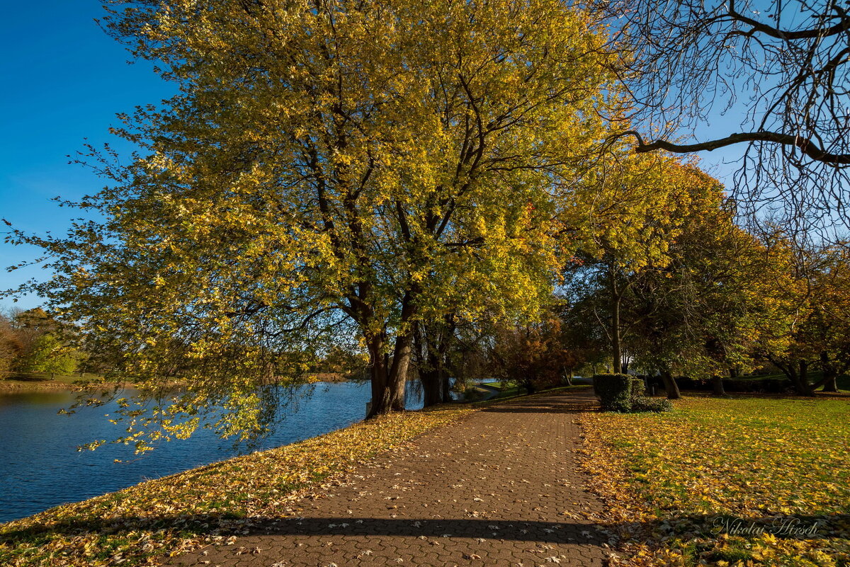Ноябрьские мотивы... - Николай Гирш