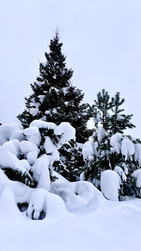 «Идеальная СнеЖность» - Арина Невская