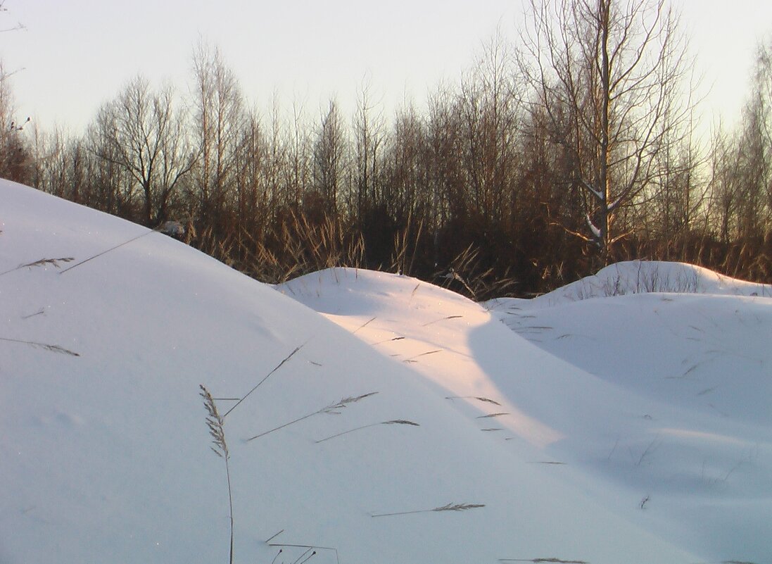 Бугры - fogmeadowww m