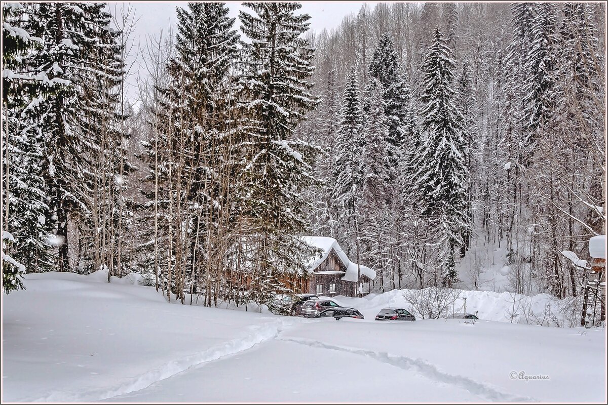 Однажды в феврале... - Aquarius - Сергей