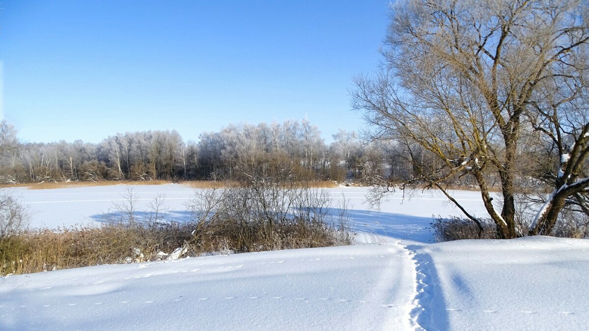 Зима в феврале. - Милешкин Владимир Алексеевич 