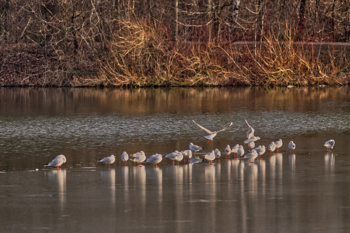 Озеро Падер - Jakob Dick