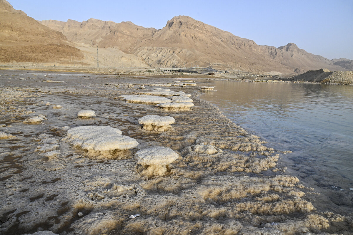 солёные берега - Осень 