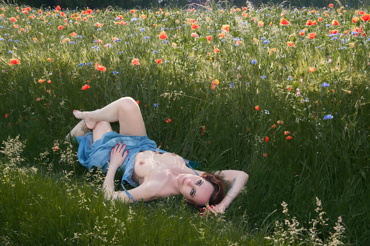 Ох уж эти маки,- васильки... - Valziwa 