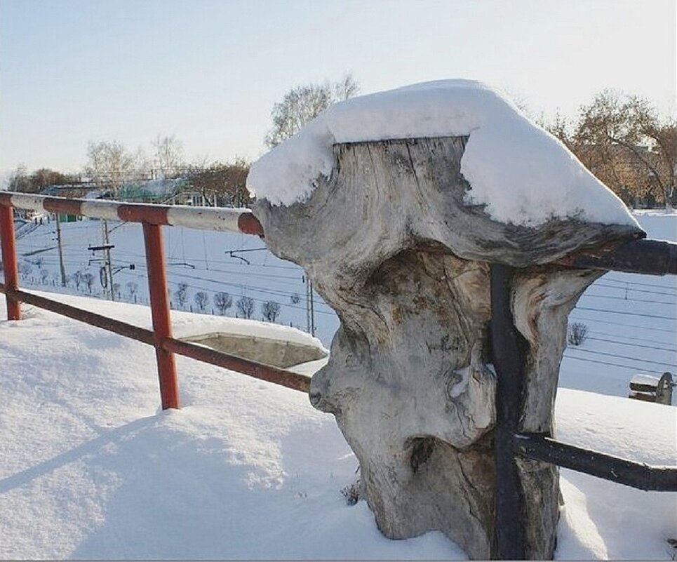 Срослись - Галина Нестратова