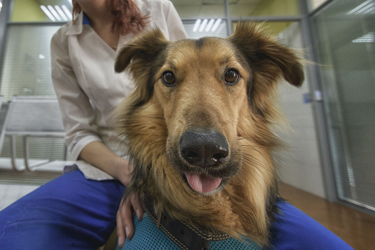 - - Джованни Луче