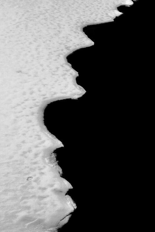 * - Сергей Полянский