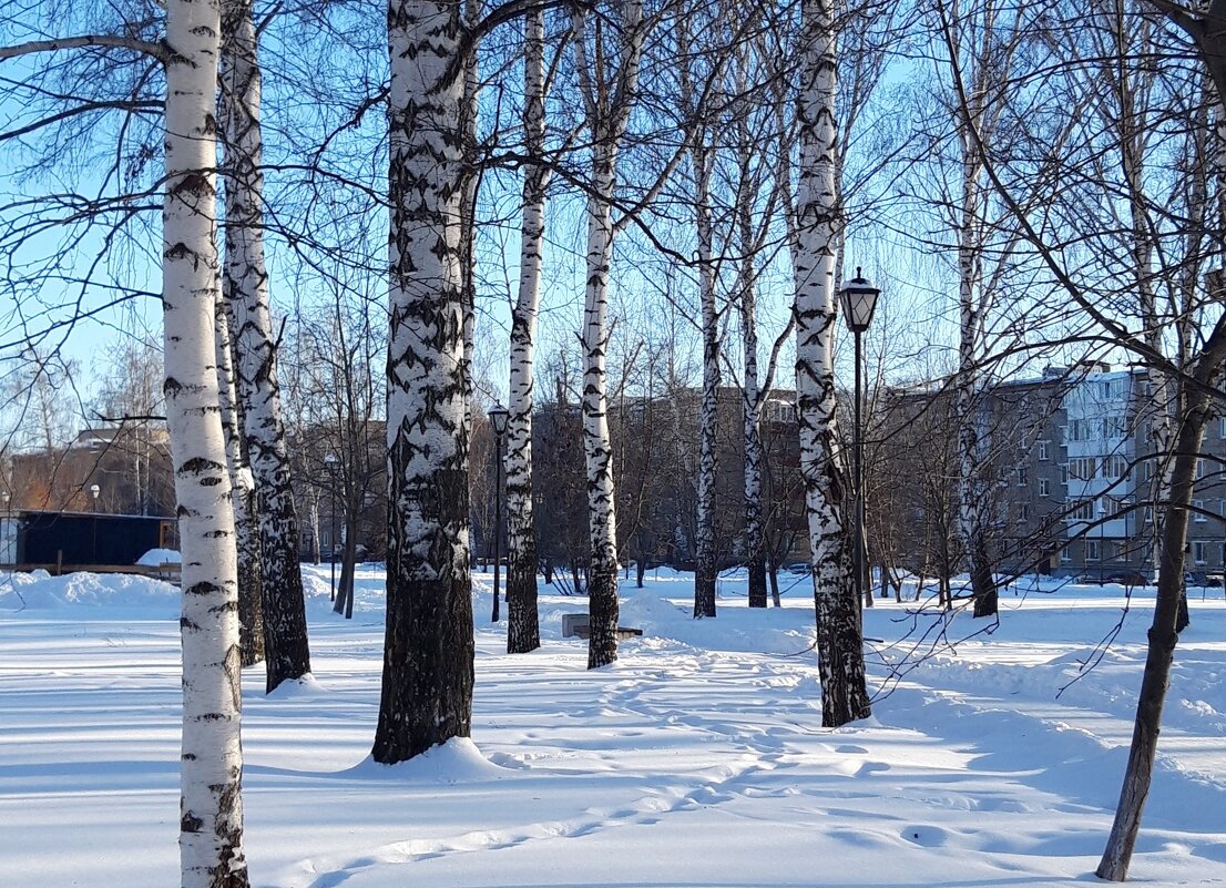 февраль - Венера Чуйкова февраль - Венера Чуйкова