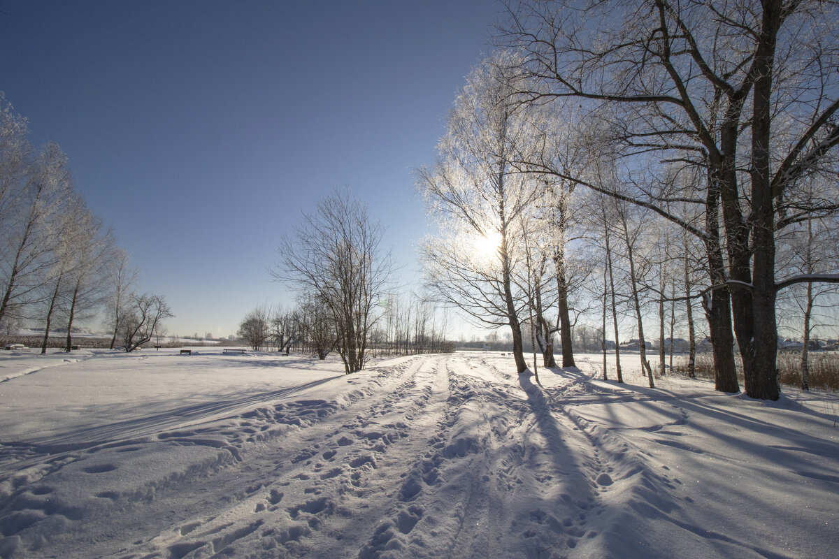 Б/Н - Николай 