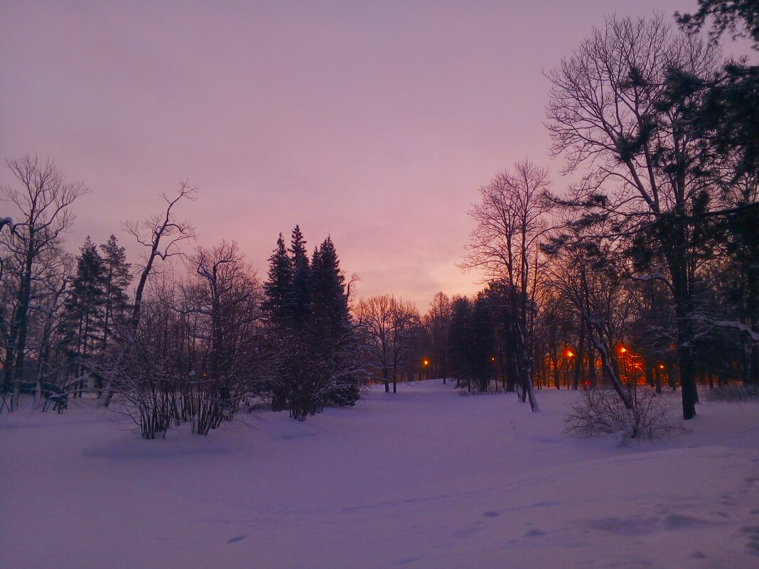 Рассвет - Сапсан 