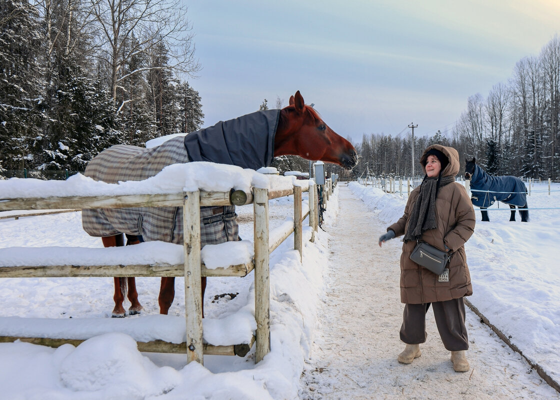 Человек и лошадь - skijumper Иванов