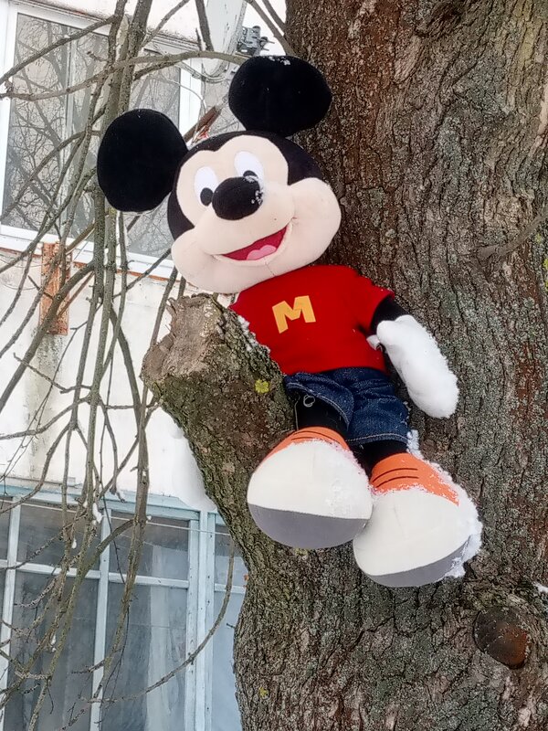 ** - Сергей Кочнев