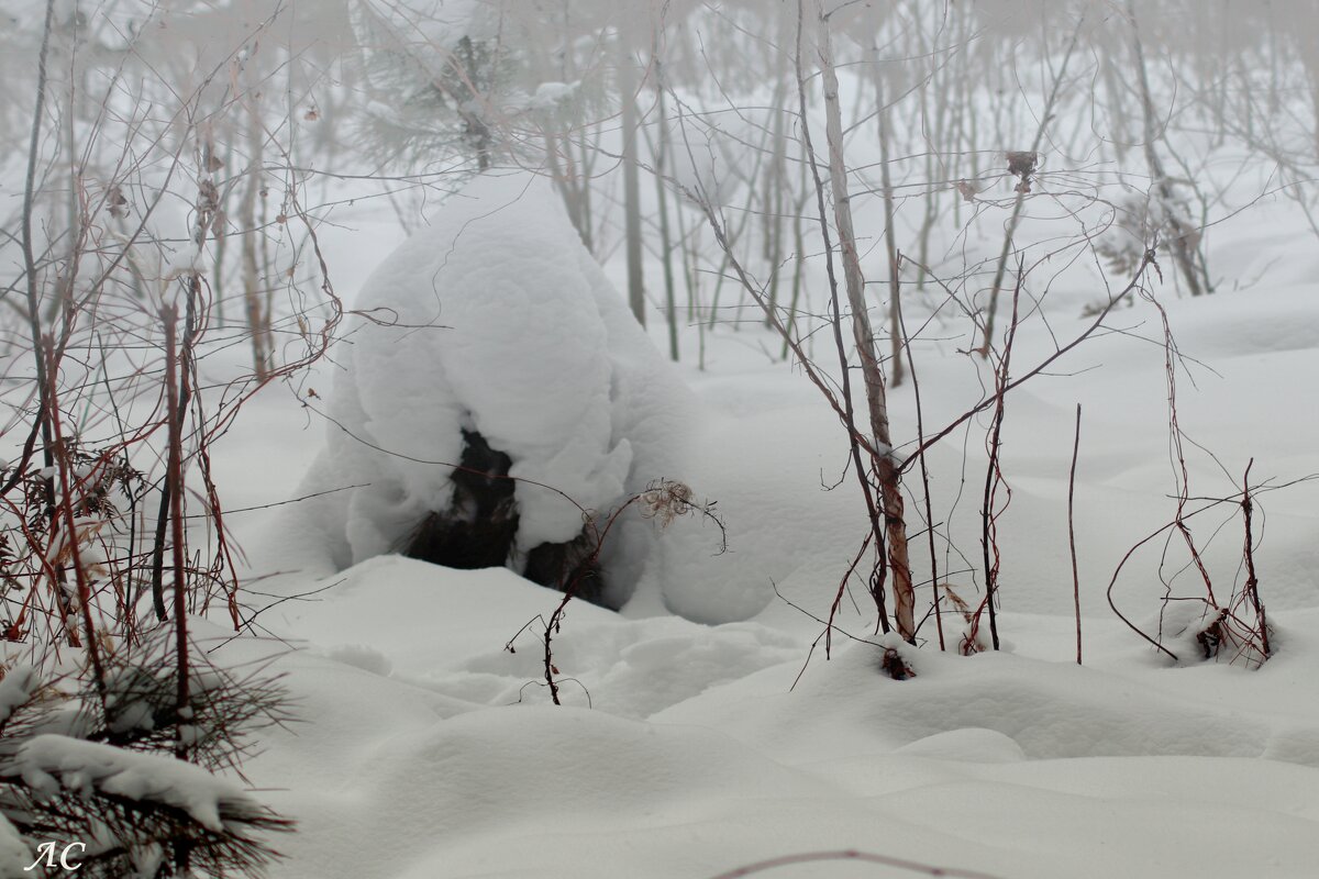 Снежная избушка - Любовь Сахарова