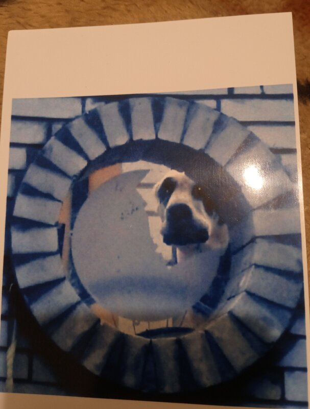 Не знаю как назвать без фотошопа не судите строго - Александр Вадимович Crew smail