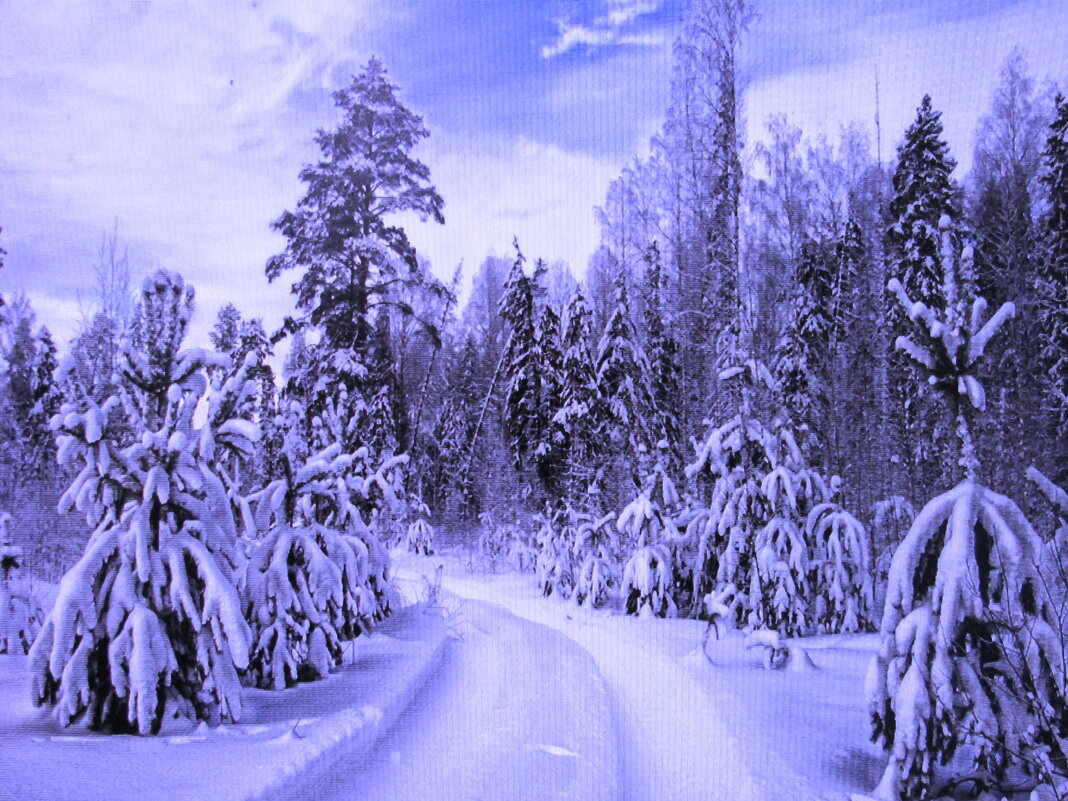 Зима - Людмила Смородинская Зима - Людмила Смородинская