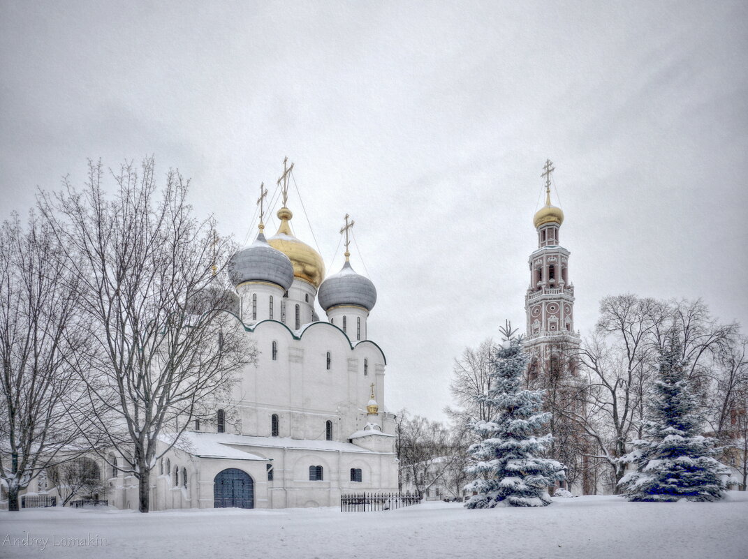 Новодевичий монастырь - Andrey Lomakin Новодевичий монастырь - Andrey Lomakin