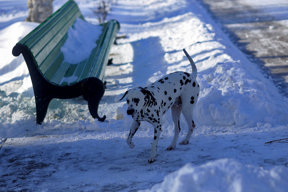 На свободе - Юрий Гайворонскiий