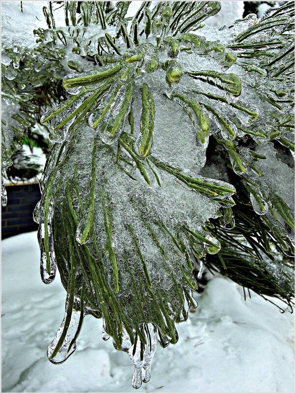 После ледяного дождя. - Валерия Комова