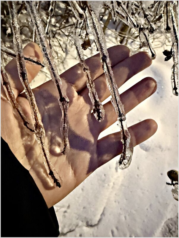 Ледяные веточки. - Валерия Комова