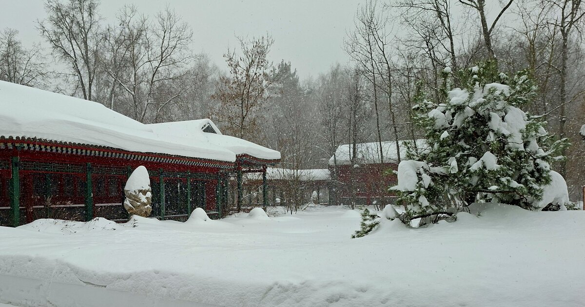 В парке Хуамин зима. - ИРЭН@ . В парке Хуамин зима. - ИРЭН@ .
