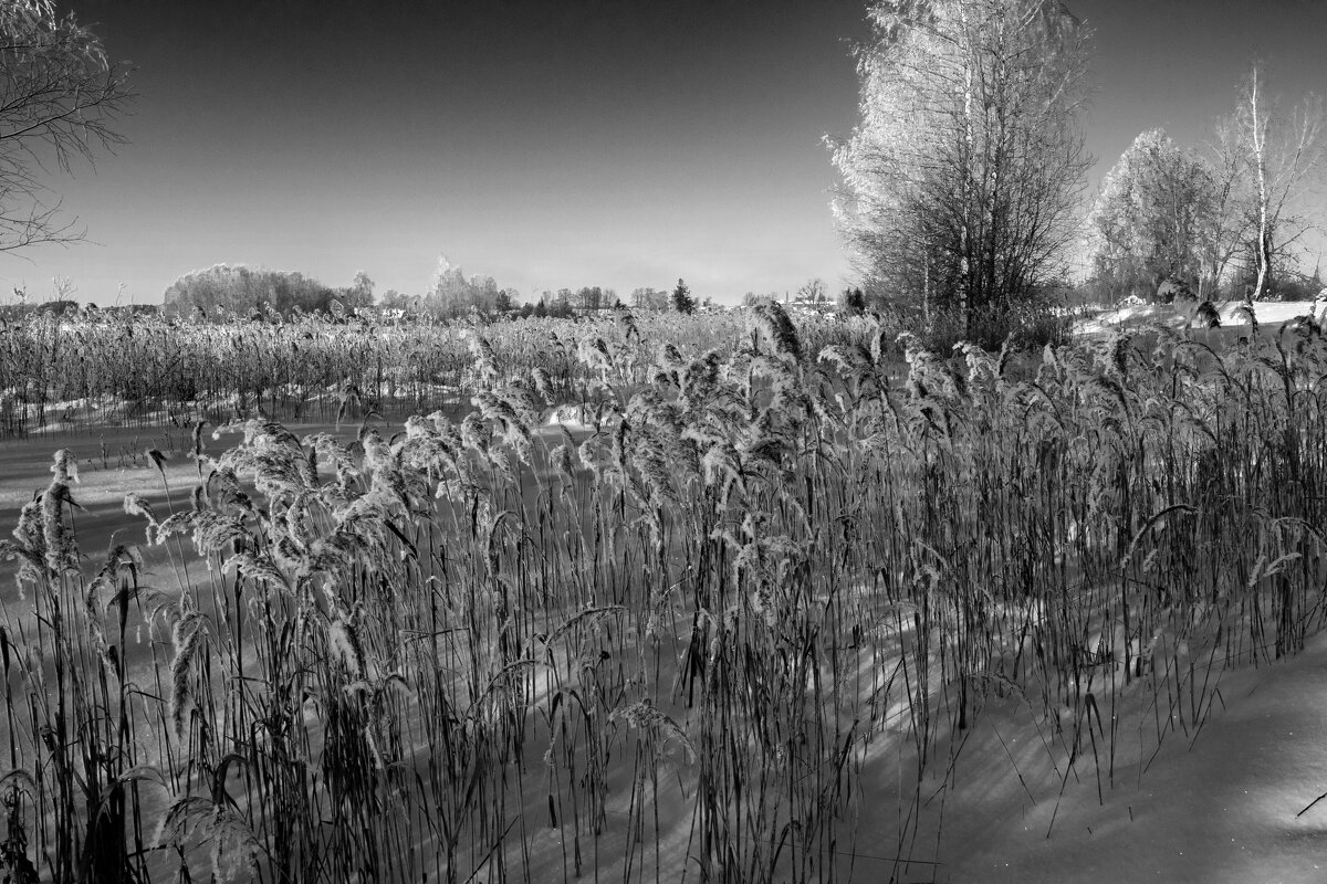 б/н - Николай 