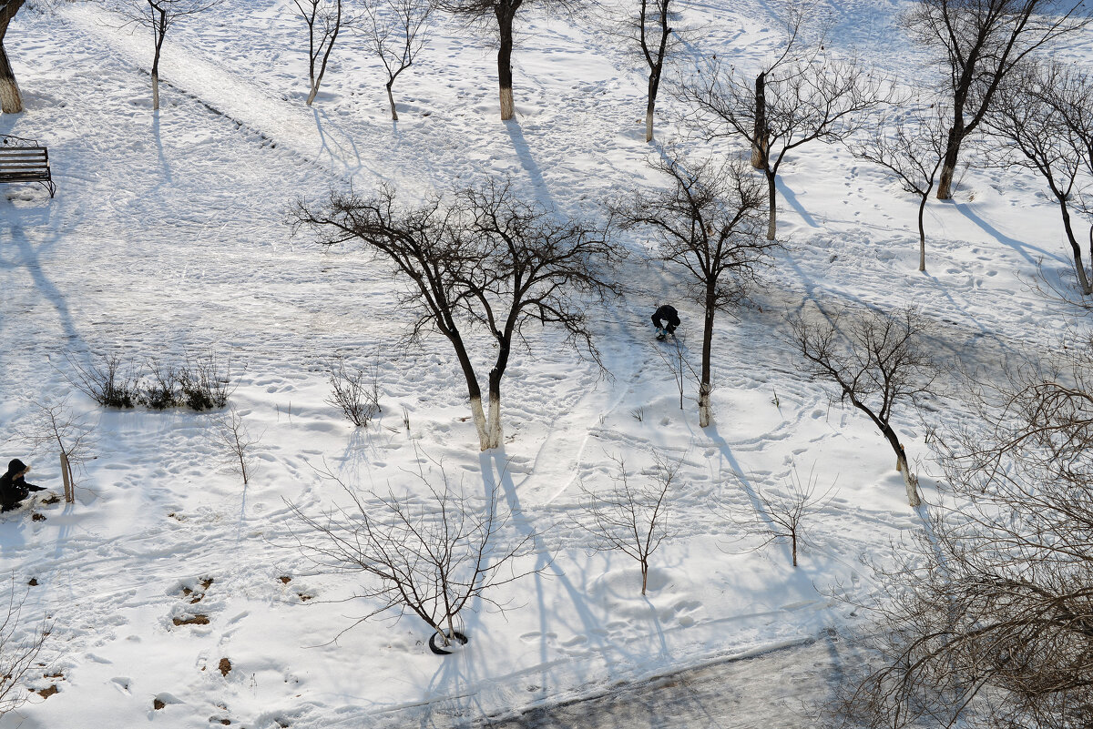 За окном - Анатолий Чикчирный