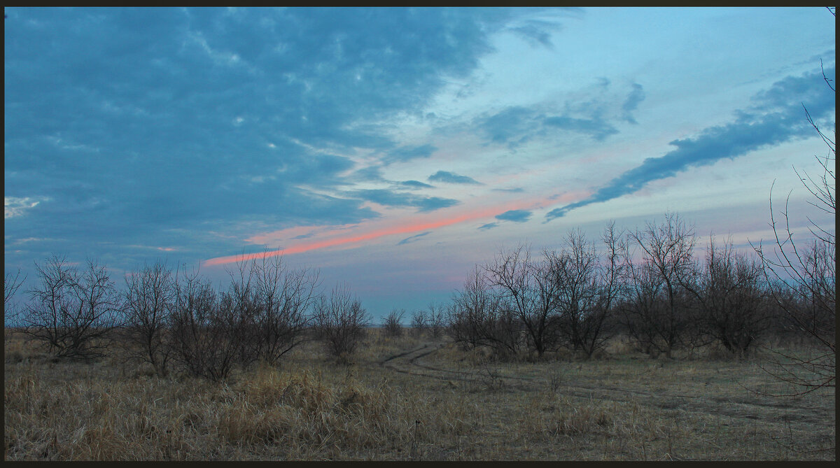 Вечер. - Александр. AVG100 --- Вечер. - Александр. AVG100 ---