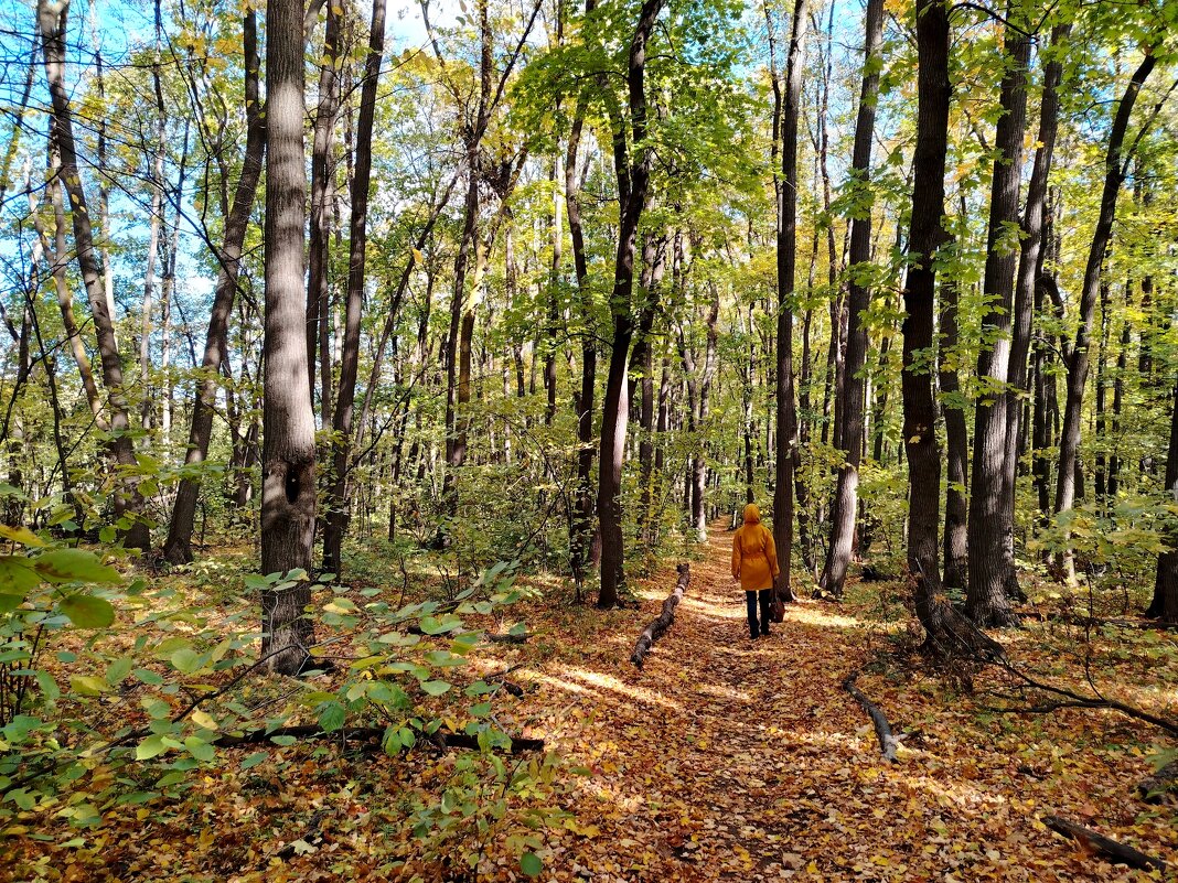 В осеннем лесу - Надежда 