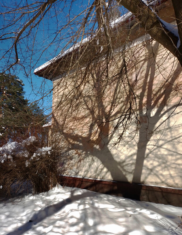 *** - Валентина Береснева