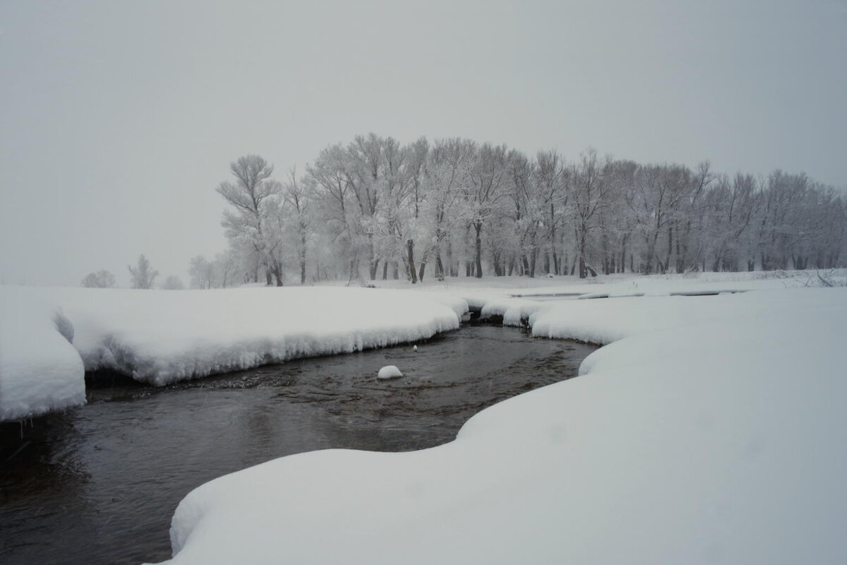 - - Aндрей Антонов