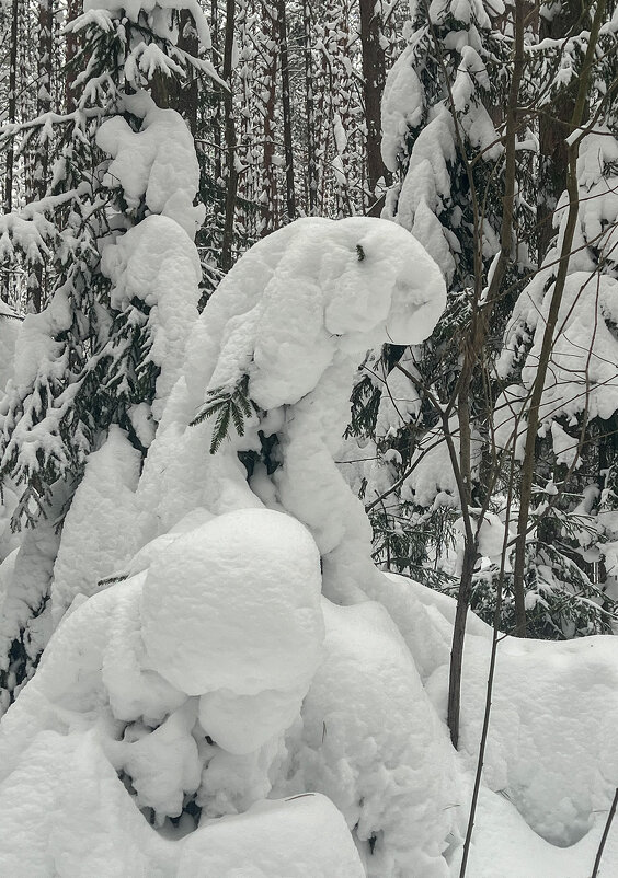 Зайчик? - Galina Зайчик? - Galina