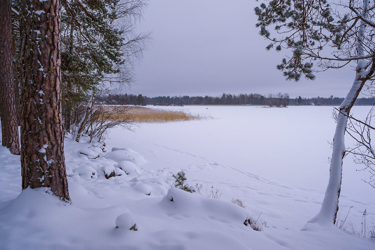 Снежный январь. - Олег Бабурин