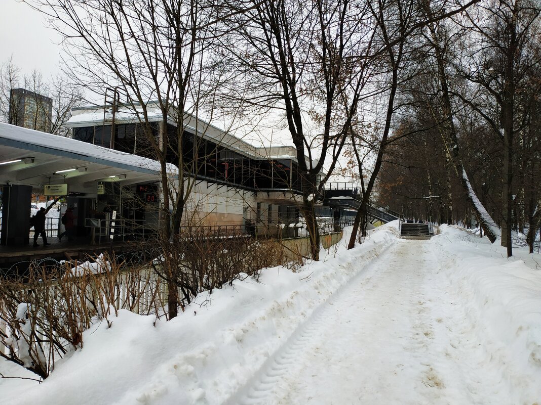 * * * - Андрей Лукьянов