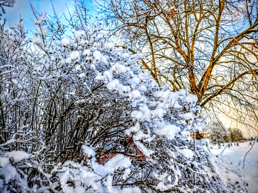 В парке - Veera V