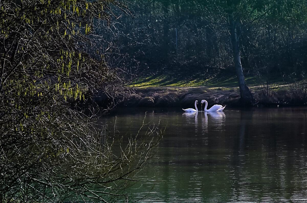 Встреча в укромном месте - Valziwa 
