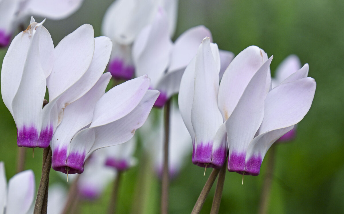 февраль - Осень 