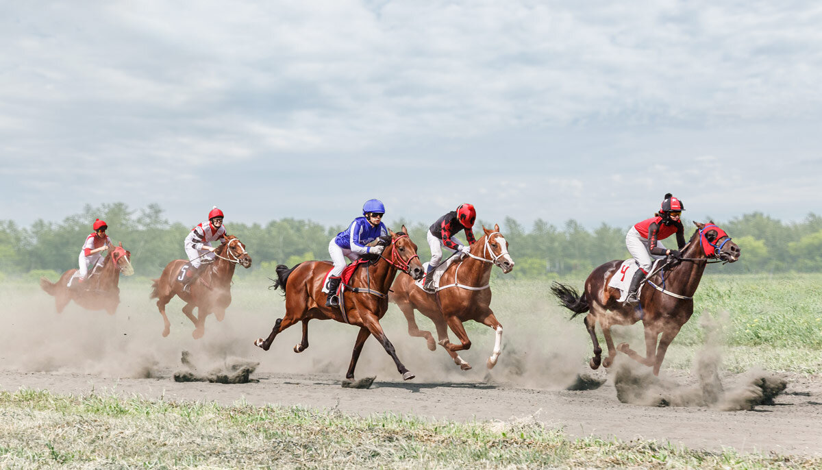 Скачки - SanSan 