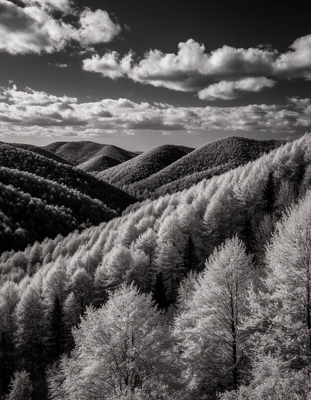 Лесистые холмы - Георгий Пичугин Лесистые холмы - Георгий Пичугин