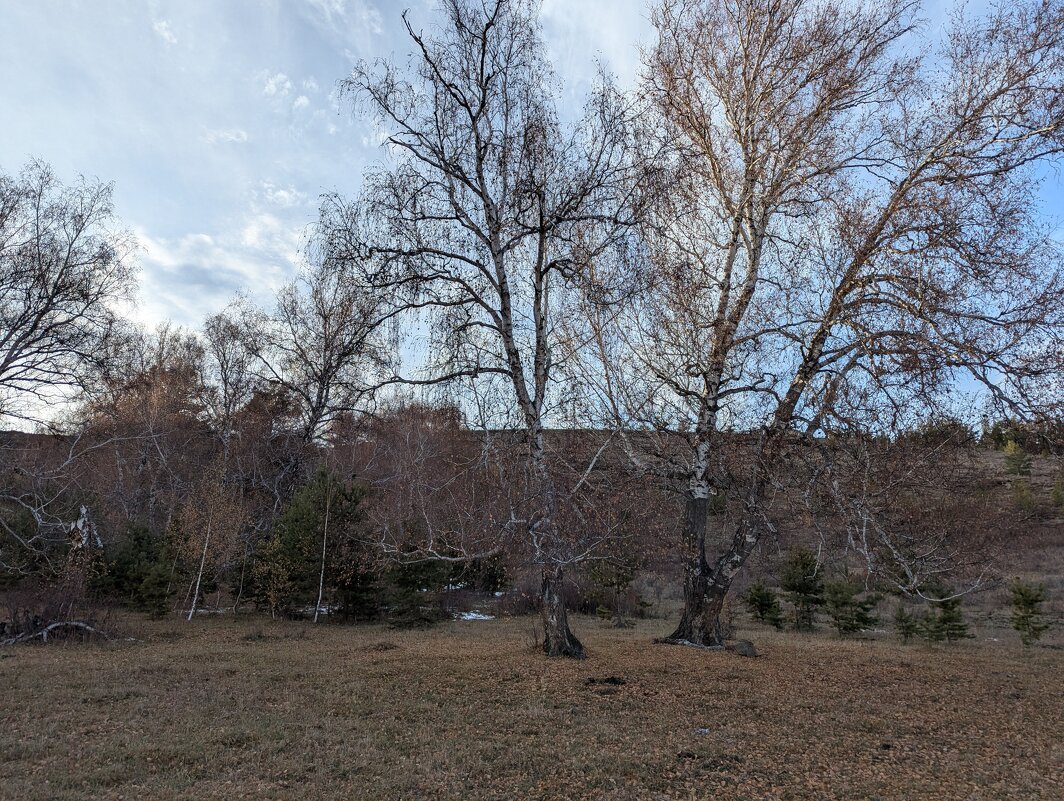 Осень - Андрей Хлопонин