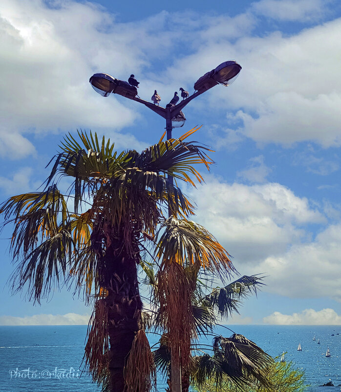 Охрана на месте. - arkadii Охрана на месте. - arkadii